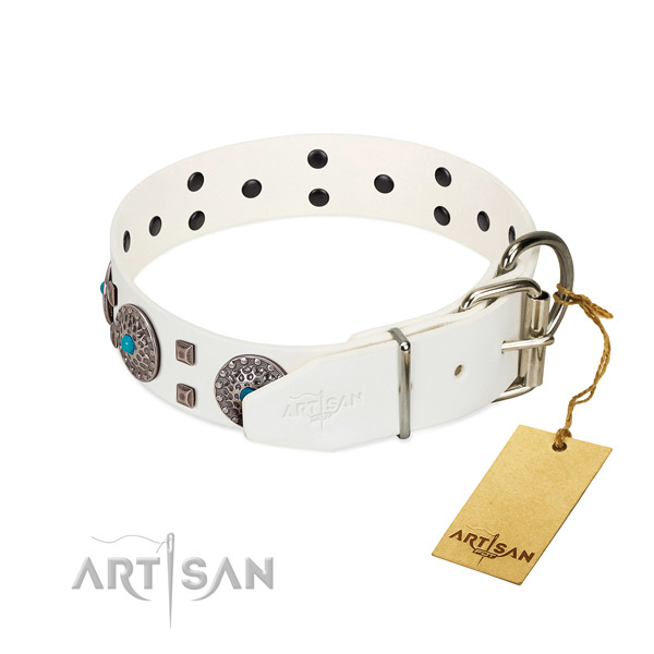 Best quality natural leather dog collar with adornments for comfy wearing