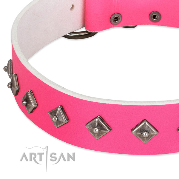 Best quality leather dog collar with strong traditional buckle