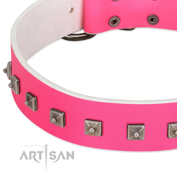 Top rate full grain natural leather dog collar with remarkable embellishments