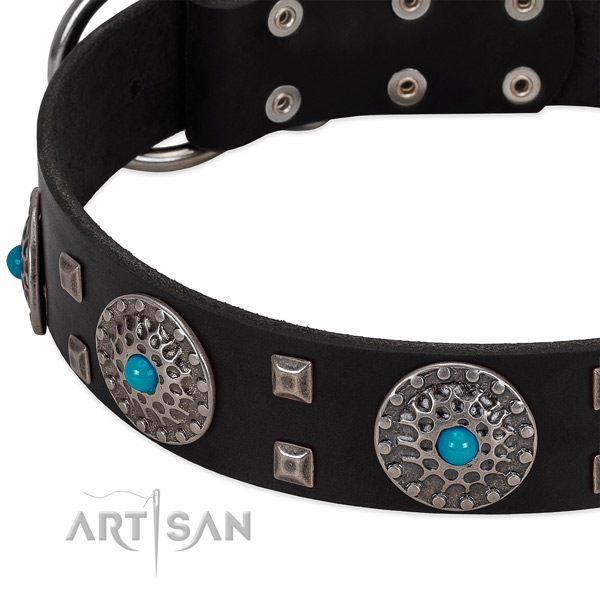 Best quality full grain natural leather dog collar with stylish embellishments