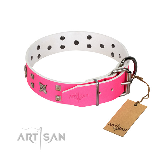 Corrosion proof embellishments on genuine leather dog collar for your four-legged friend