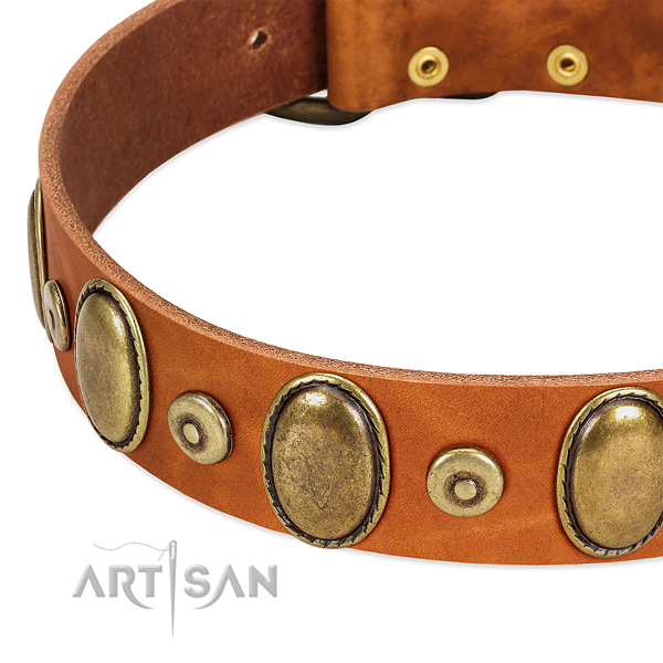 Designer full grain natural leather collar for your beautiful doggie