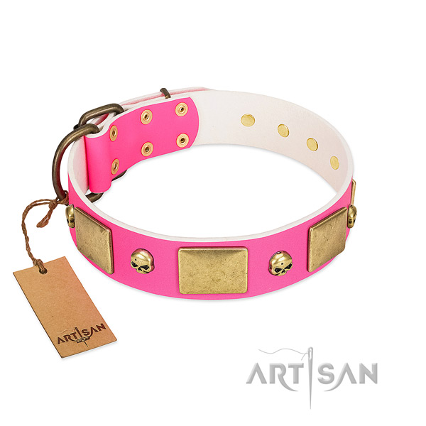 Reliable genuine leather collar with rust-proof decorations for your pet
