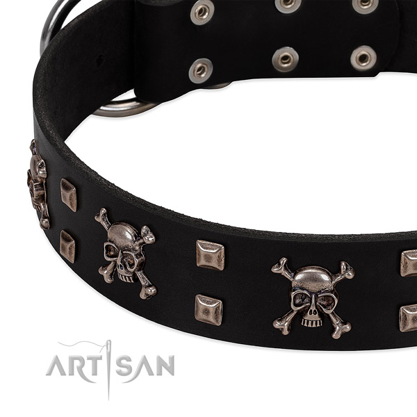Designer collar of leather for your handsome four-legged friend