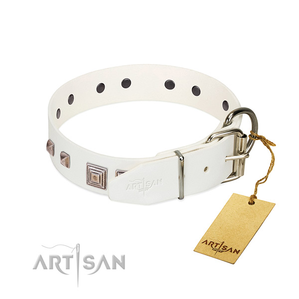 Awesome collar of full grain leather for your handsome four-legged friend