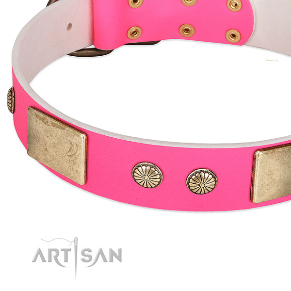 Rust resispinkt studs on leather dog collar for your doggie