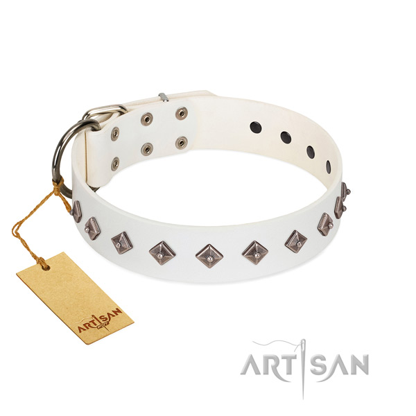 Designer embellishments on full grain leather collar for fancy walking your doggie