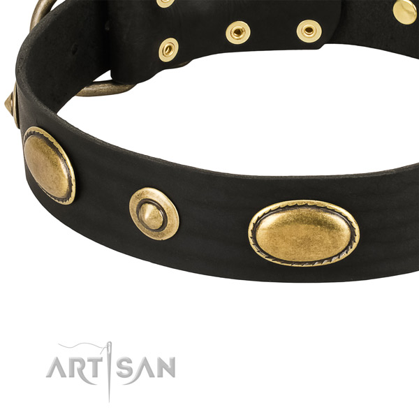 Rust-proof adornments on genuine leather dog collar for your dog
