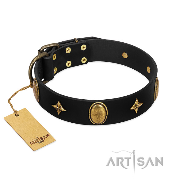 Best quality leather collar with rust-proof decorations for your pet