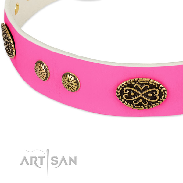 Rust-proof embellishments on natural leather dog collar for your dog