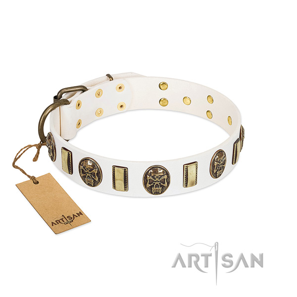 Trendy full grain leather dog collar for everyday walking