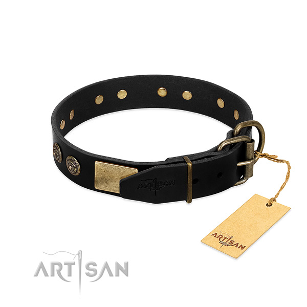 Rust resistant buckle on genuine leather dog collar for your dog