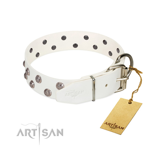 Rust-proof buckle on adorned full grain genuine leather dog collar