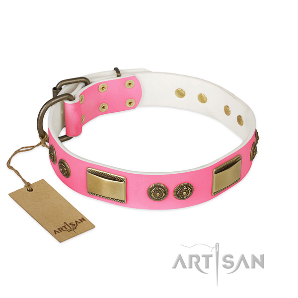 Incredible full grain leather dog collar for daily use