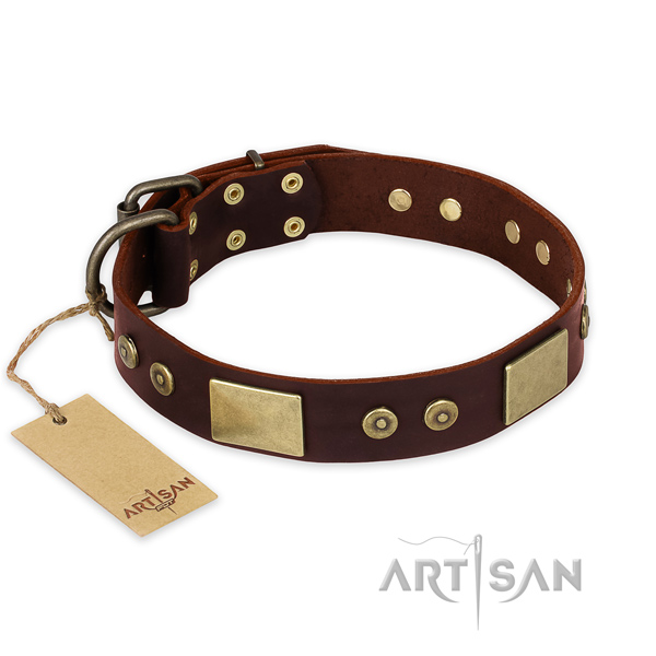 Incredible full grain leather dog collar for daily use