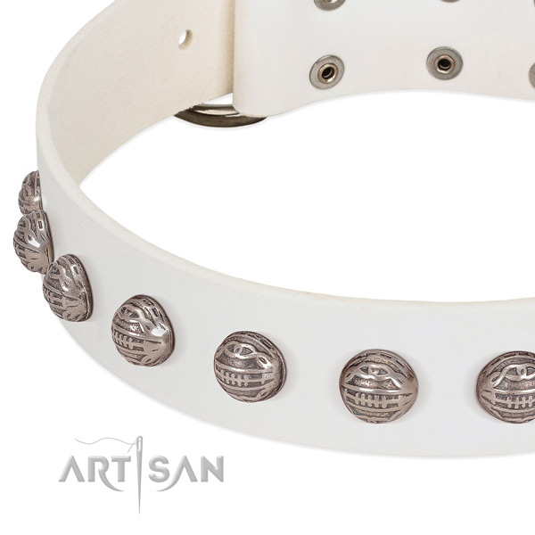 Impressive leather dog collar with corrosion proof embellishments