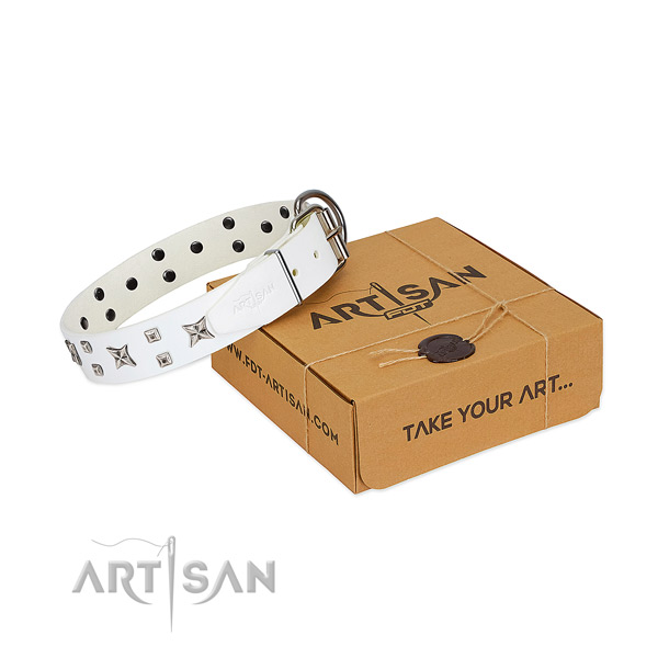 Full grain leather dog collar with impressive studs for everyday use