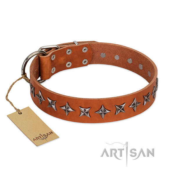 Basic training dog collar of high quality full grain natural leather with decorations