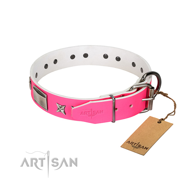 Stylish design dog collar of full grain leather
