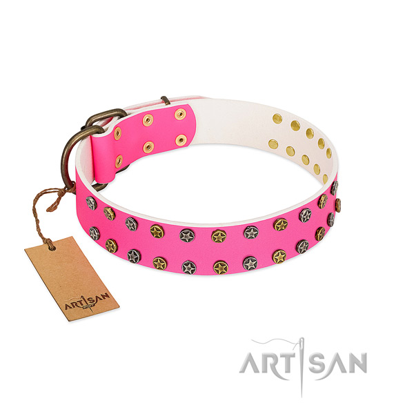 Top rate genuine leather collar with adornments for your canine