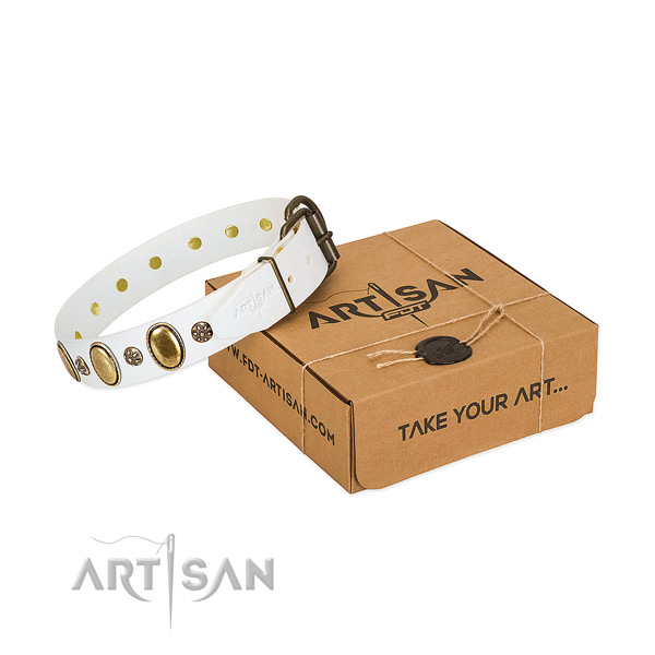 Daily walking reliable full grain natural leather dog collar with embellishments