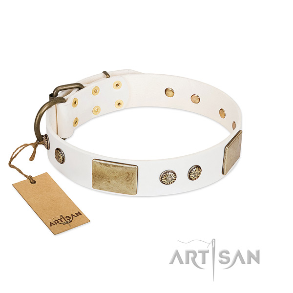 Adjustable genuine leather dog collar for basic training your canine
