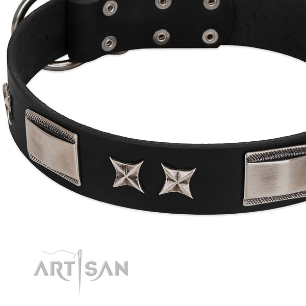 Reliable leather dog collar with strong fittings