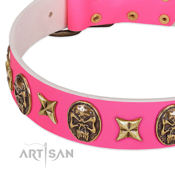 Natural leather dog collar with amazing embellishments