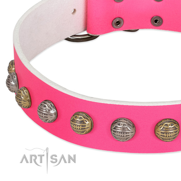 Rust resistant hardware on full grain natural leather collar for stylish walking your doggie