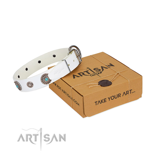 Daily walking soft full grain leather dog collar with decorations