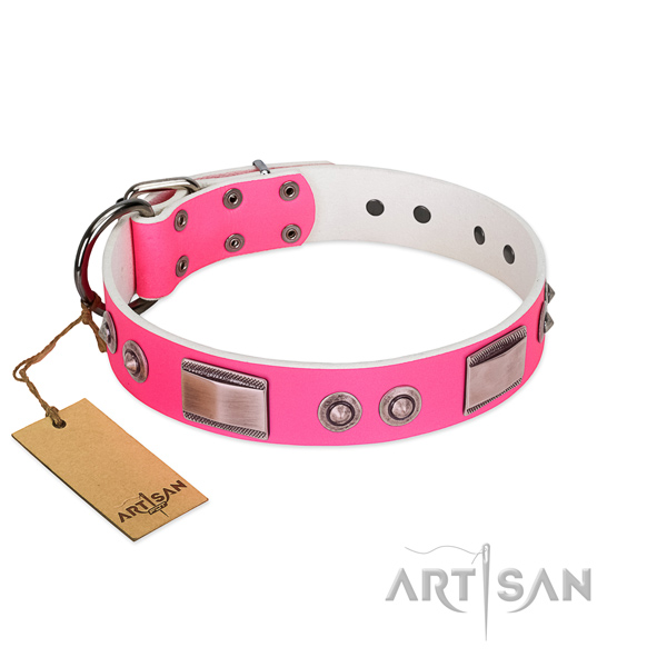 Designer natural leather collar with decorations for your four-legged friend