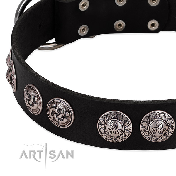 Unusual natural genuine leather collar for your dog walking