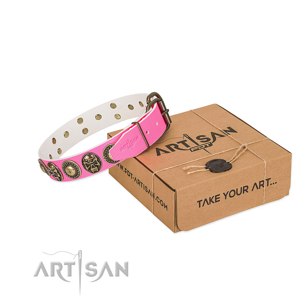 Rust-proof embellishments on dog collar for stylish walking
