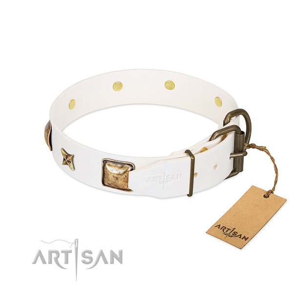 Full grain leather dog collar with durable D-ring and embellishments