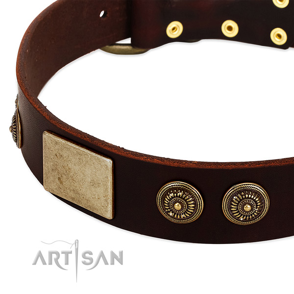 Corrosion resistant studs on genuine leather dog collar for your canine
