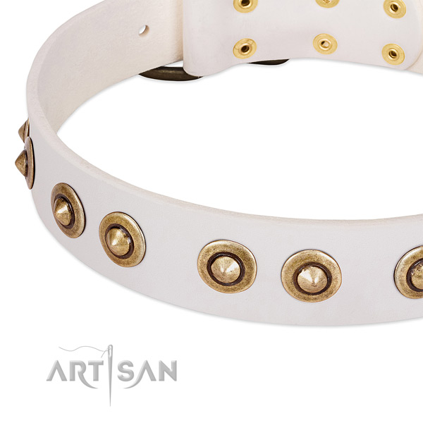 Corrosion resistant decorations on leather dog collar for your dog