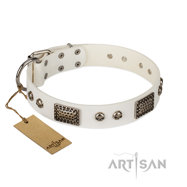 Easy adjustable natural genuine leather dog collar for basic training your four-legged friend