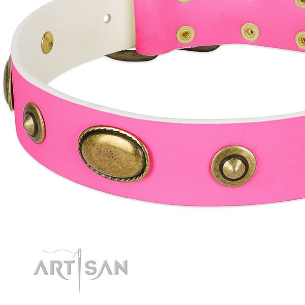 Durable adornments on genuine leather dog collar for your canine