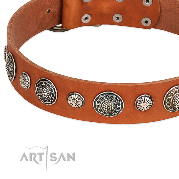 Genuine leather collar with reliable traditional buckle for your stylish four-legged friend