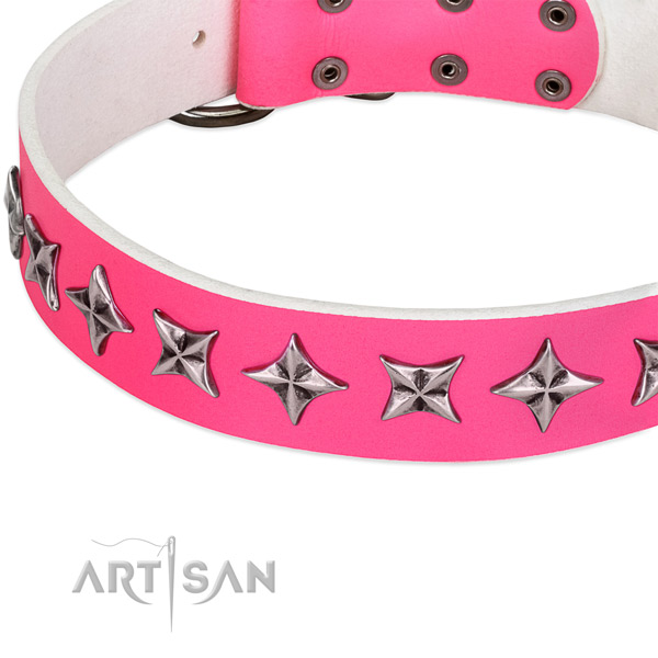 Handy use adorned dog collar of top notch natural leather