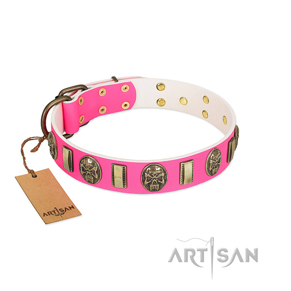 Corrosion proof embellishments on leather dog collar for your doggie