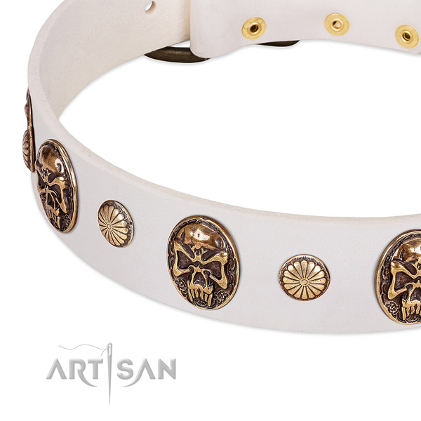 Rust resistant decorations on genuine leather dog collar for your dog