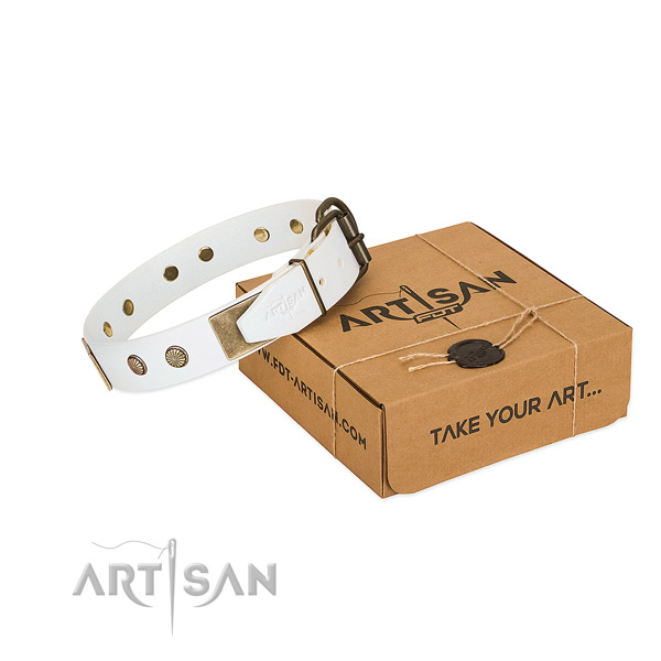 Rust-proof traditional buckle on dog collar for daily walking