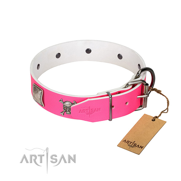 Designer genuine leather dog collar with corrosion proof studs