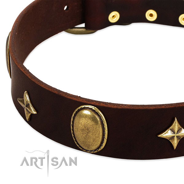 Top notch full grain natural leather dog collar with rust-proof D-ring