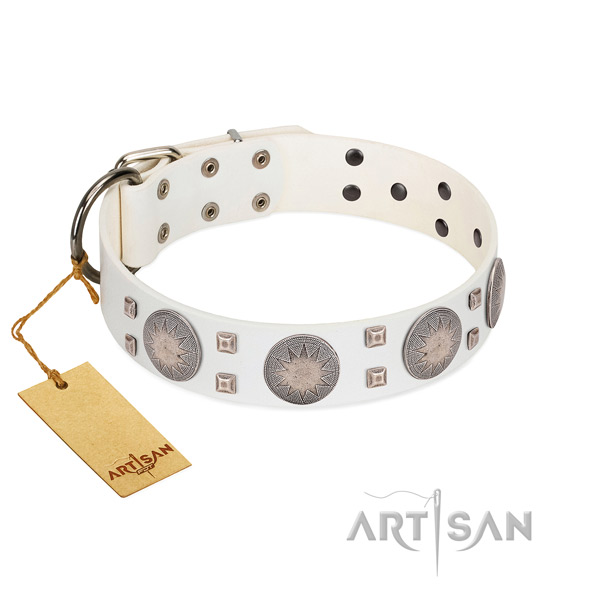 Exquisite full grain natural leather dog collar for stylish walking your doggie