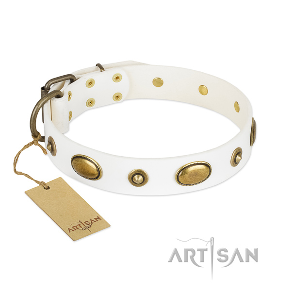 Exquisite full grain leather collar for your pet