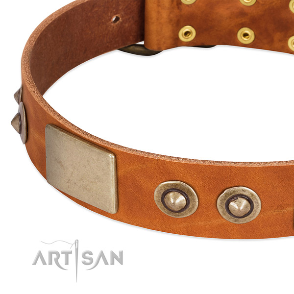 Reliable fittings on full grain genuine leather dog collar for your four-legged friend