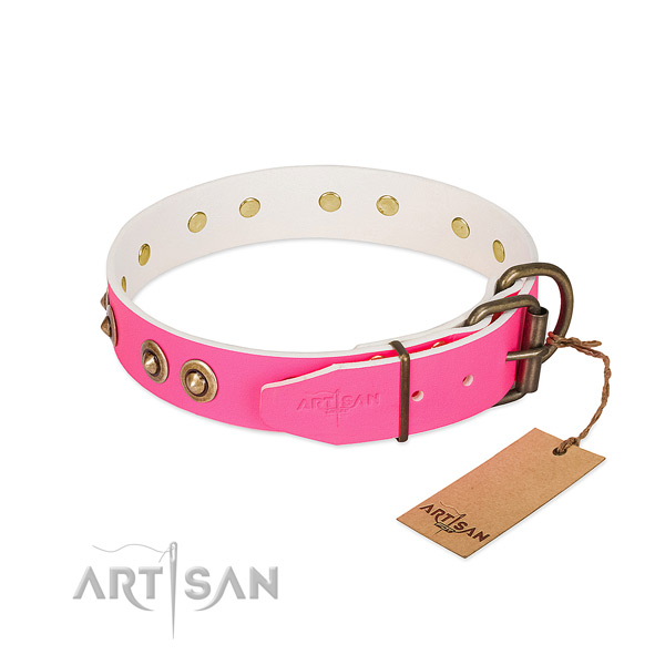 Leather dog collar with reliable buckle and embellishments