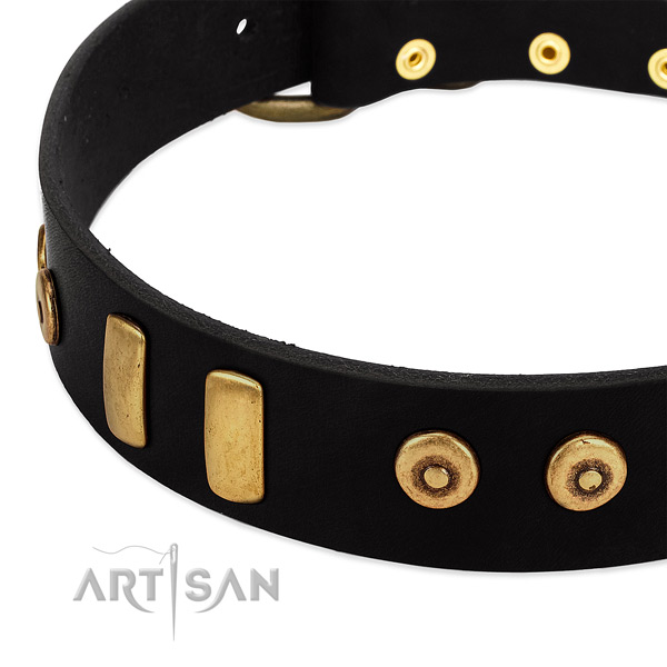 Best quality genuine leather collar with stylish design embellishments for your dog